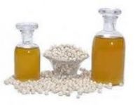 Moringa Oleifera Seeds for oil