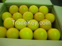 Fresh Navel/ Valencia Oranges