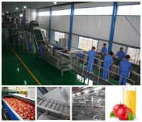 sell Apple, Pear Processing Line