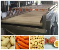 sell brush and spray type cleaning  machine for fruit
