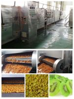 sell fruit, vegetable dryer