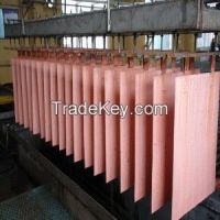 Copper Cathode Factory