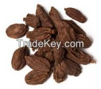 Organic Black Cardamom new crop 2015 for sale (Viber/Whatsaap: 0084965152844)