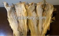 quality seafood and frozen norway stockfish