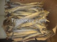 Dry Stock Fish Cod Head