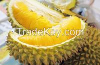 Frozen Durian