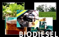 Seller of BioDiesel