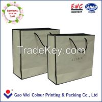 2013 Hot Sell Shopping Paper bag