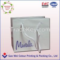 Promotional Gift Paper Packaging Bag