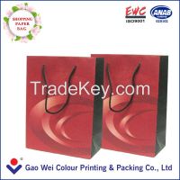 Promotion Cutom Color Printing Paper Gift Bag