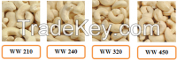 cashew nut kernels with best quality and competitive price