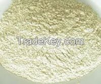 DRIED ONION POWDER