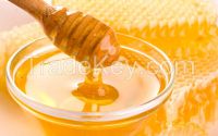100% pure nature little bee honey