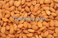 Almond Nuts (without shells)