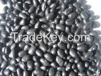 small black kidney beans