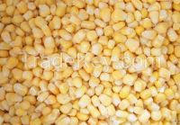 sell frozen sweet corn kernels