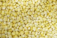 sell frozen sweet corn kernels