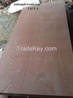 Selling best quality plywood at super good price