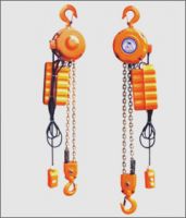 Sell DHK endless electric hoist