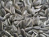 Sunflower Seeds, Sesame Seeds, Flax Seed, Cotton Seeds, Castor Seeds, Rape Seeds, Jatropha Seeds, Canola