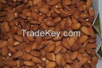 Almond Nuts /Pistachio Nuts/Cashew Nuts/Peanut/Pecan Nuts