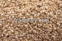 Roasted Sesame Seeds