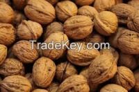 Walnut kernels available in stock and ready for export