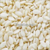 White Hulled Sesame Seeds Sortex (Sudan Origin)