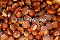 2013 Chinese Organic Fresh Raw Sweet Chestnuts ...