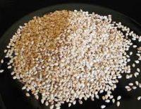 Natural White Sesame Seeds