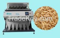 Engineer available to service machinery overseas for Oat Color Sorter