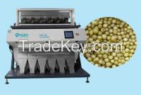 63 Channels CCD Currant Color Sorter with large capacity