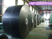 China Factory Polyester Conveyor Belts