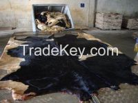 Wet Salted Cow Skin, Cow Heads and Animal Skins, Wet Blue Cow Hides