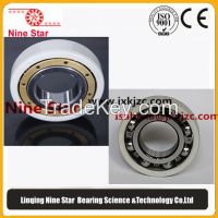 6317M/C3VL0241 Insulated Bearings for electric motor