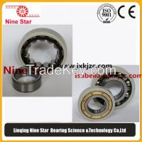 Insulated Bearing Manufacturer