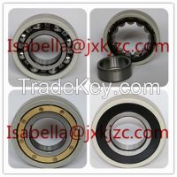Insulated Bearing china supplier