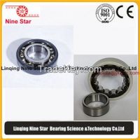 nu219c3  Insulated Bearings for electric motor