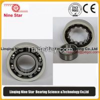 6219mc3  Insulated Bearings for electric motor