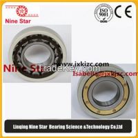 6319M/C3VL0241  Insulated Bearings for electric motor
