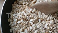 Pumkin Seeds, Snow White Pumpkin Seeds