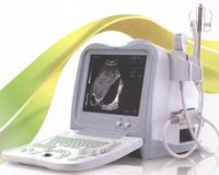 Sell Digital Ultrasound Scannner (BW530)