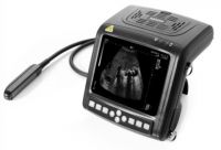 Sell DIGITAL Wrist-top Veterinary Ultrasound Scanner (BW560V)