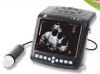 Sell Digital Wrist-top Veterinary Ultrasound Scanner(BW560V-PRO)