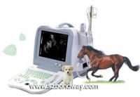 Sell Digital Veterinary Ultrasound Scanner(BW530V)