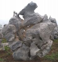 Sell natural landscape stone & stone rock