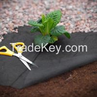 Weed Control Fabric