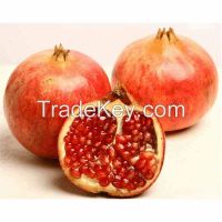 Sell fresh Pomegranates from Tunisia