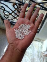 Indian Medium Round Grain Rice