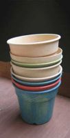Sell Biodegradable pots and containers